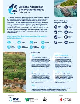 CAPA Initiative poster showing an aerial view of Fiji (top) and elephants (bottom).