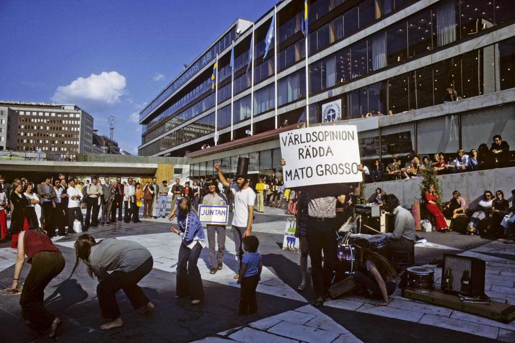 Protestors