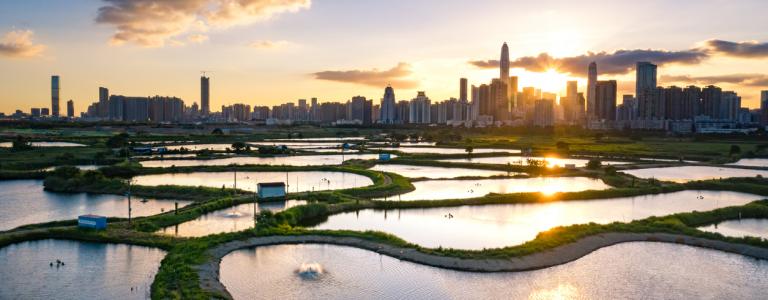 drone view of shenzen